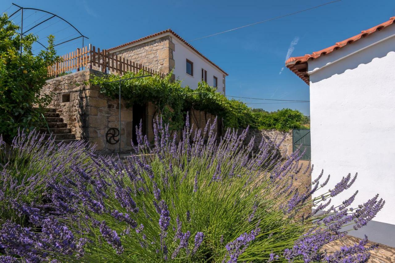 Quinta Do Acipreste Ламегу Экстерьер фото