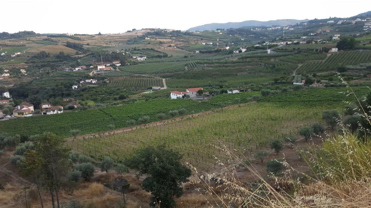 Quinta Do Acipreste Ламегу Экстерьер фото